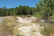Le site
